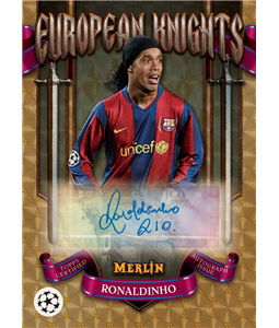 Case Break - Delight Merlin 24/25