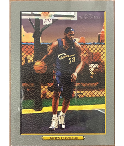 Lebron James - Estilo Canvas