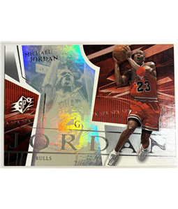 Michael Jordan Holo Raro